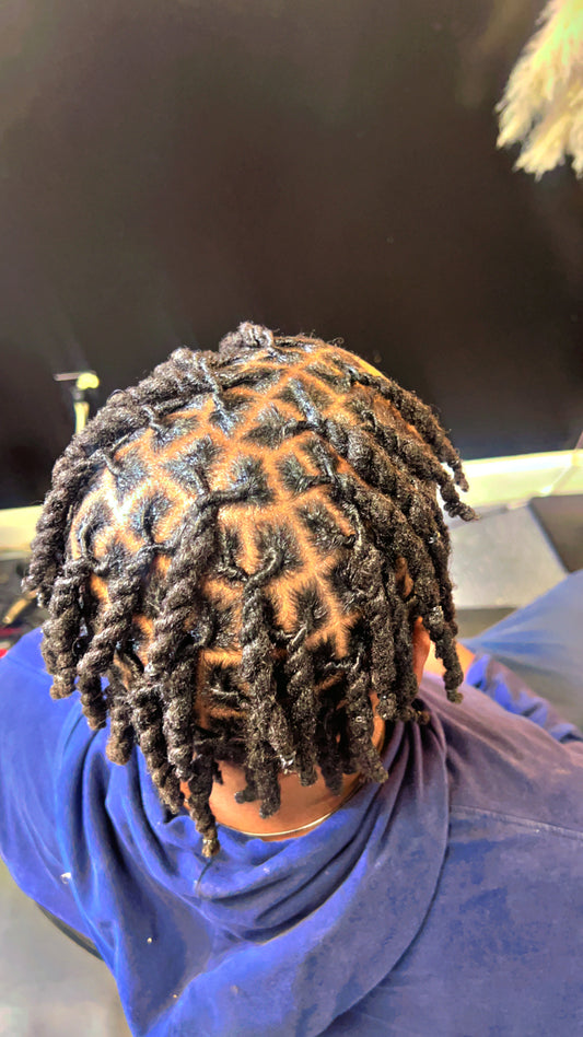 Men Locs